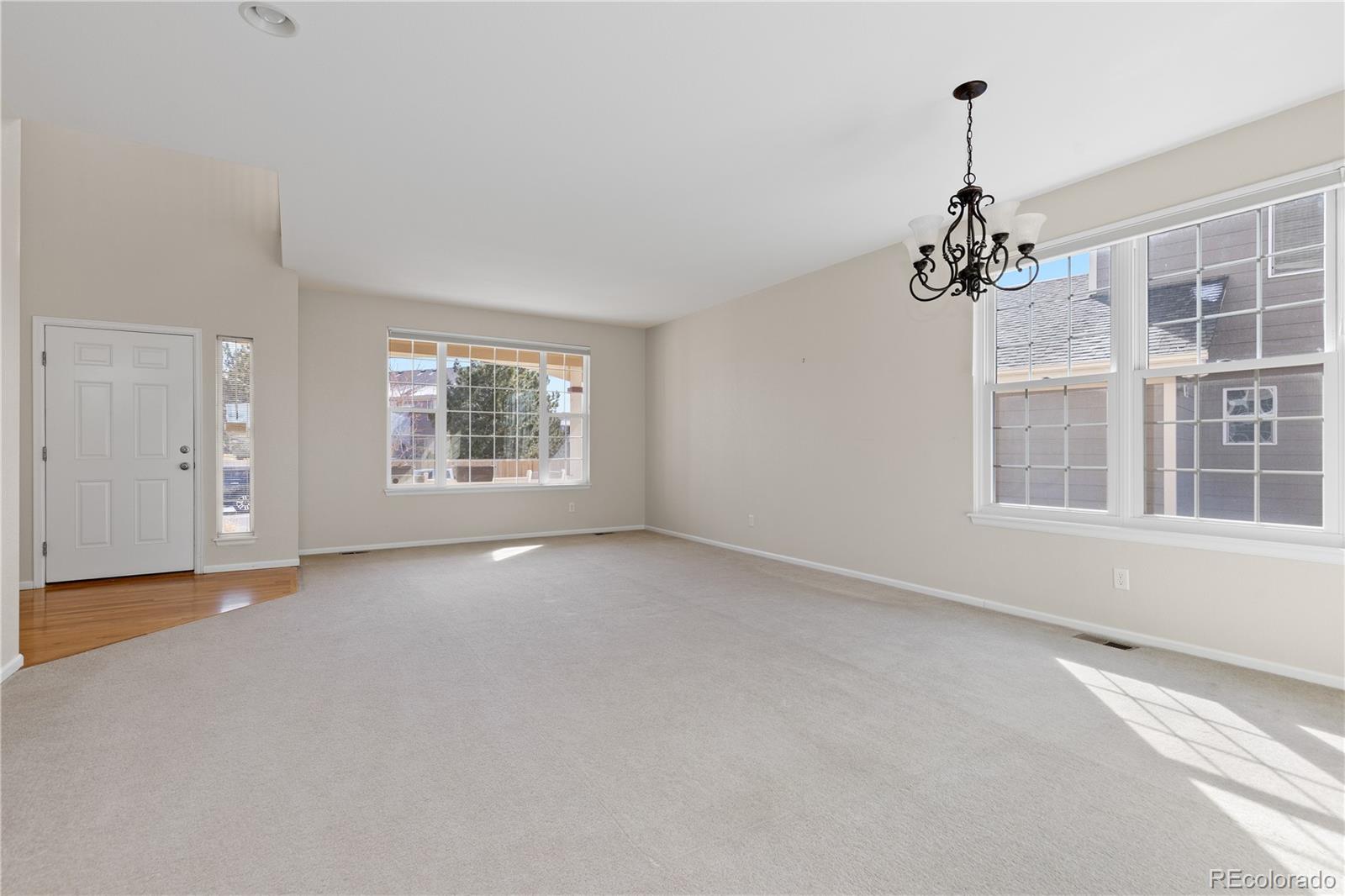 4133 Black Feather Trail