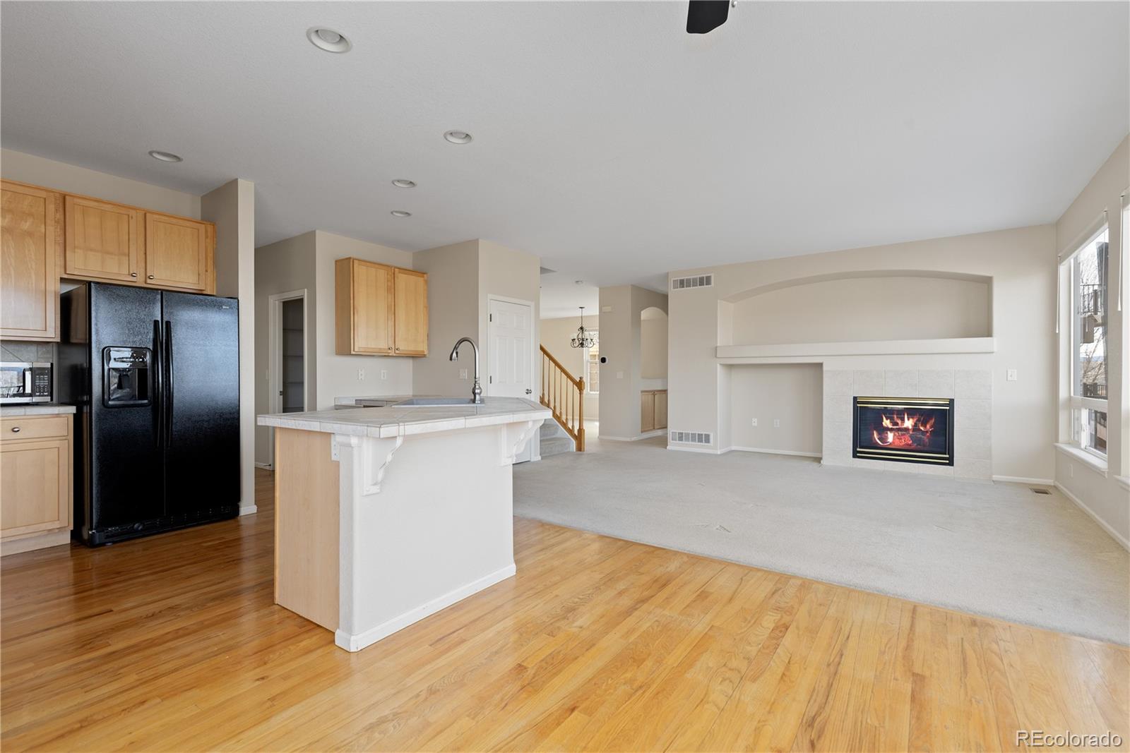 4133 Black Feather Trail