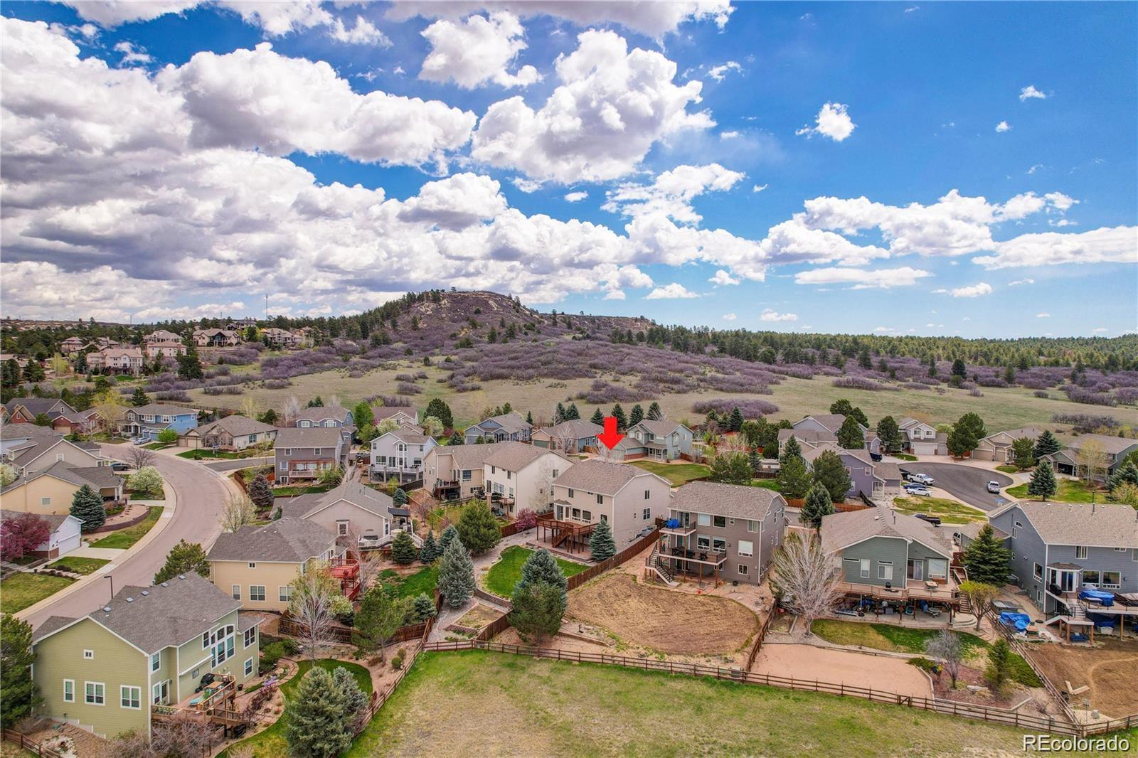 4133 Black Feather Trail