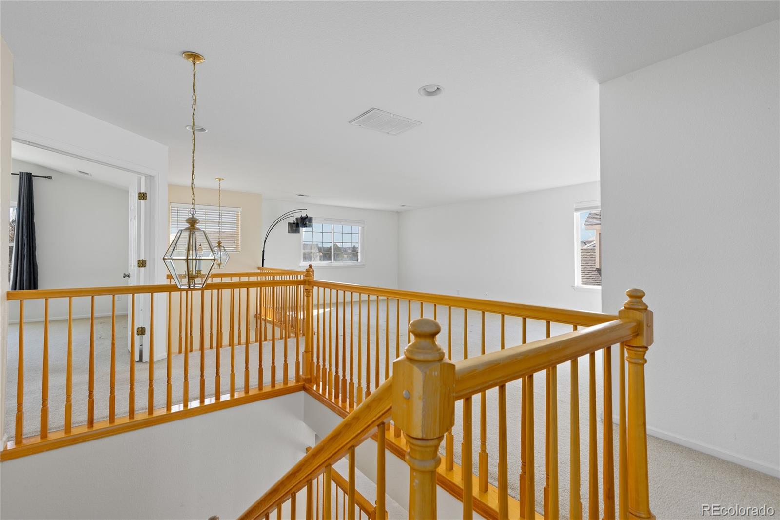 4133 Black Feather Trail