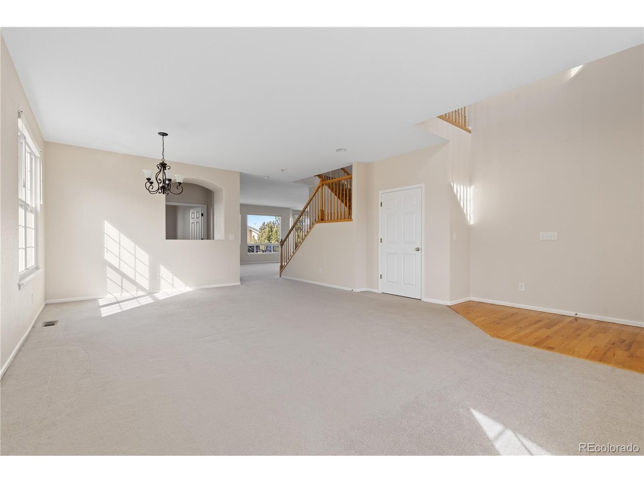 4133 Black Feather Trl