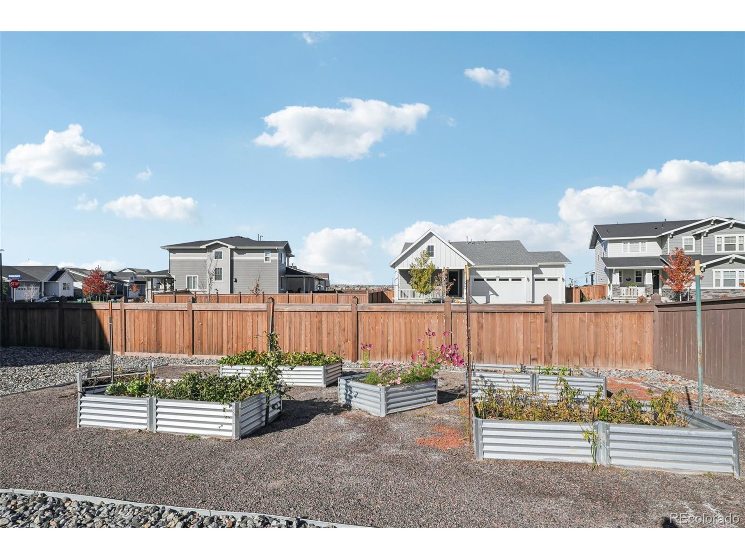 2877 Shikra Pl Brighton