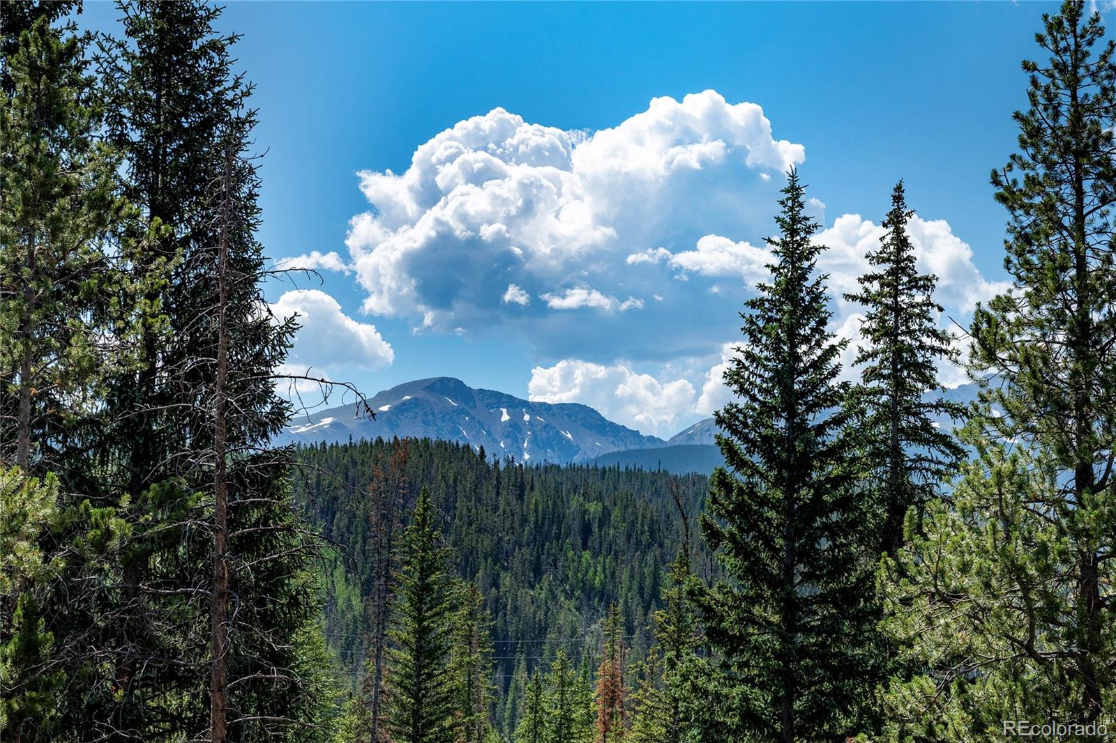 220 GCR 702 Unit: 20-301