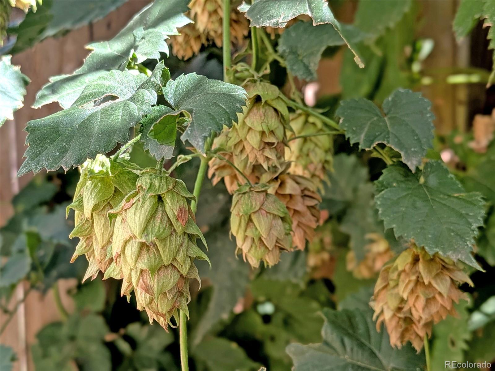 3220 N Williams Street