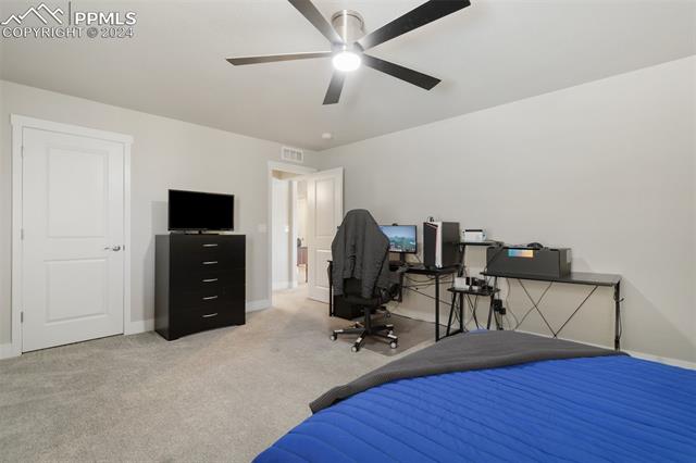 6904 Bigtooth Maple Drive