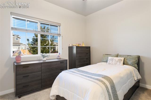 6904 Bigtooth Maple Drive