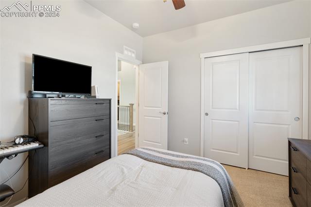 6904 Bigtooth Maple Drive