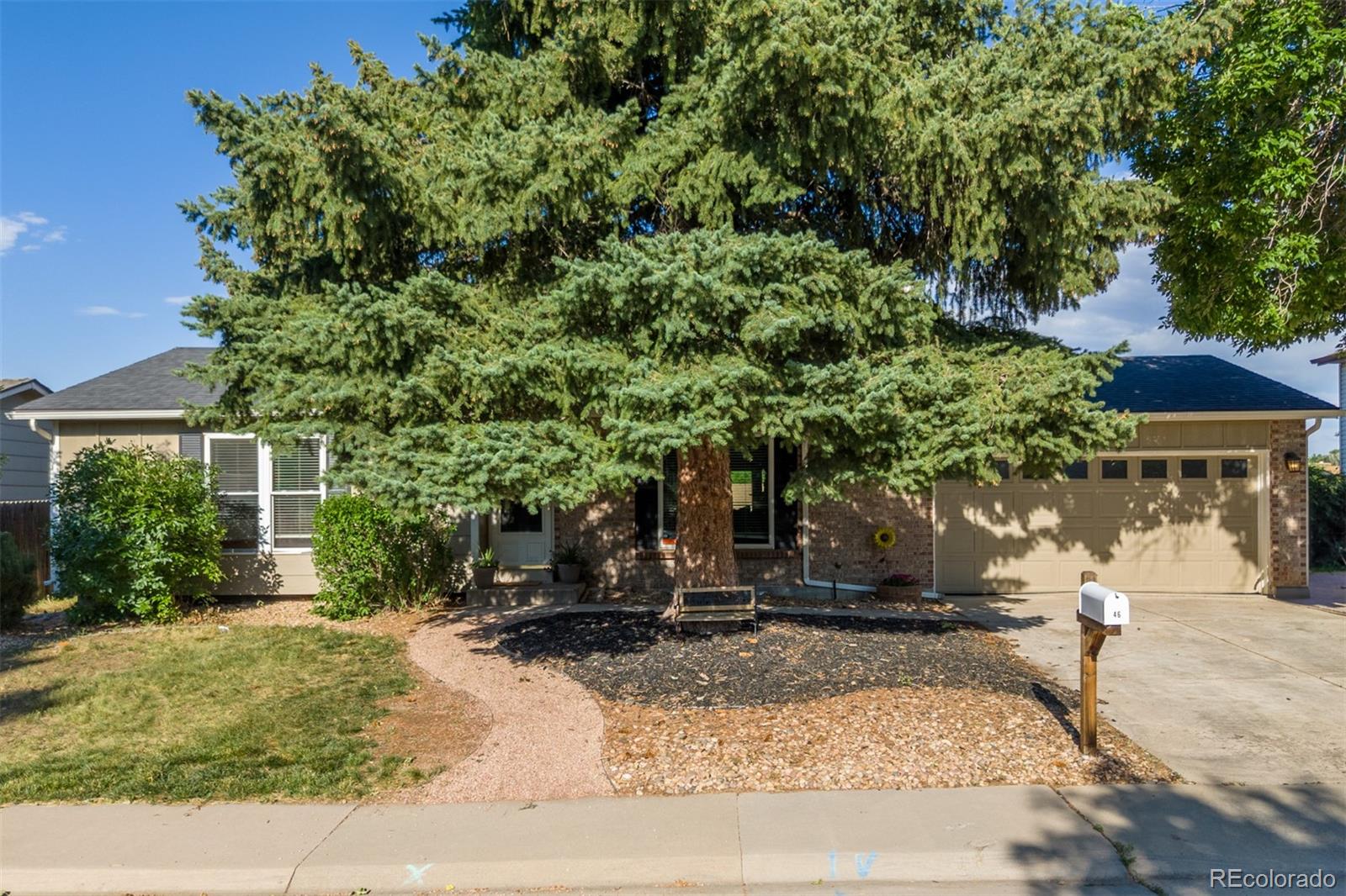 1246 S Telluride Street