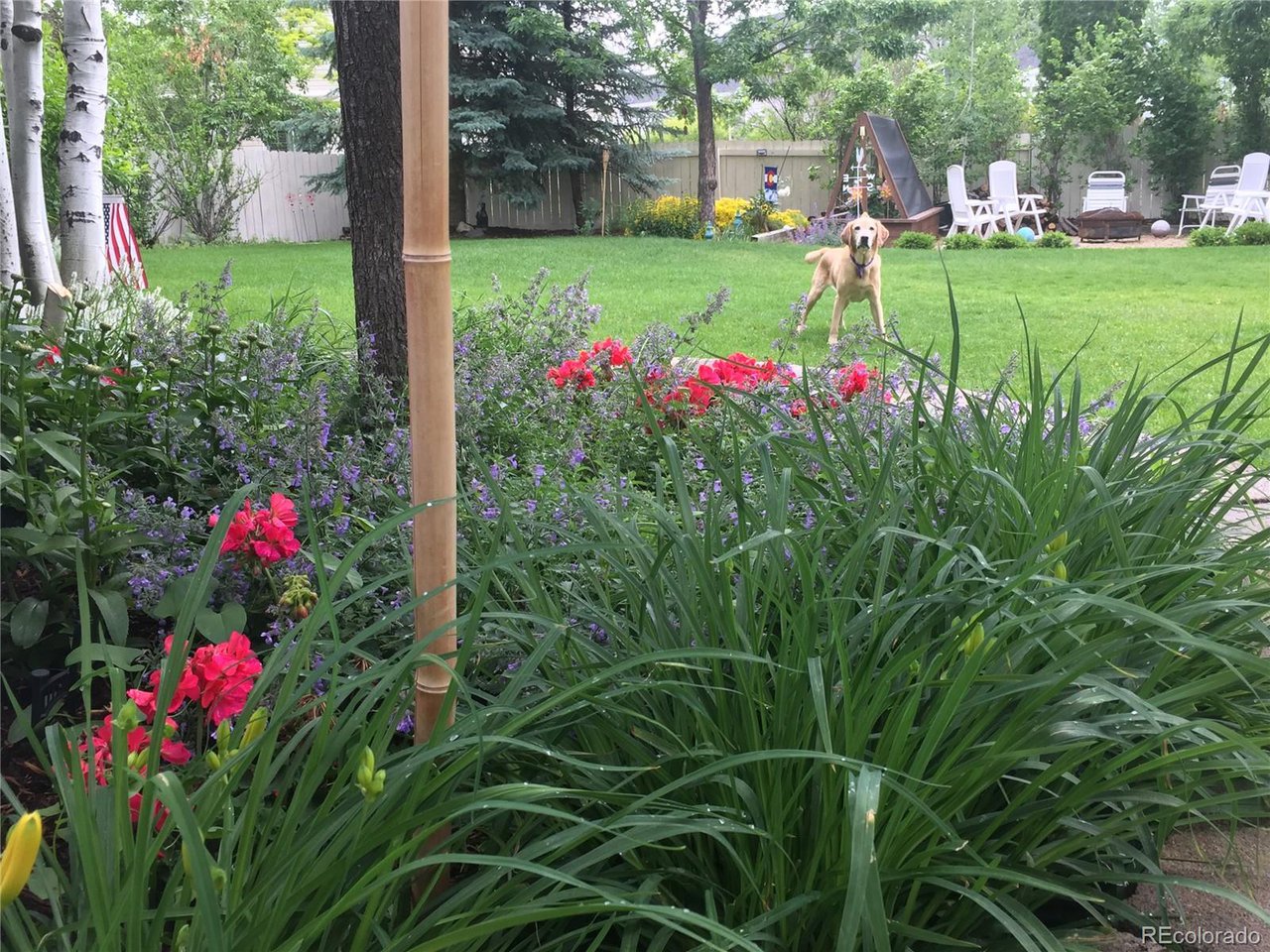 1494 Clover Creek Dr