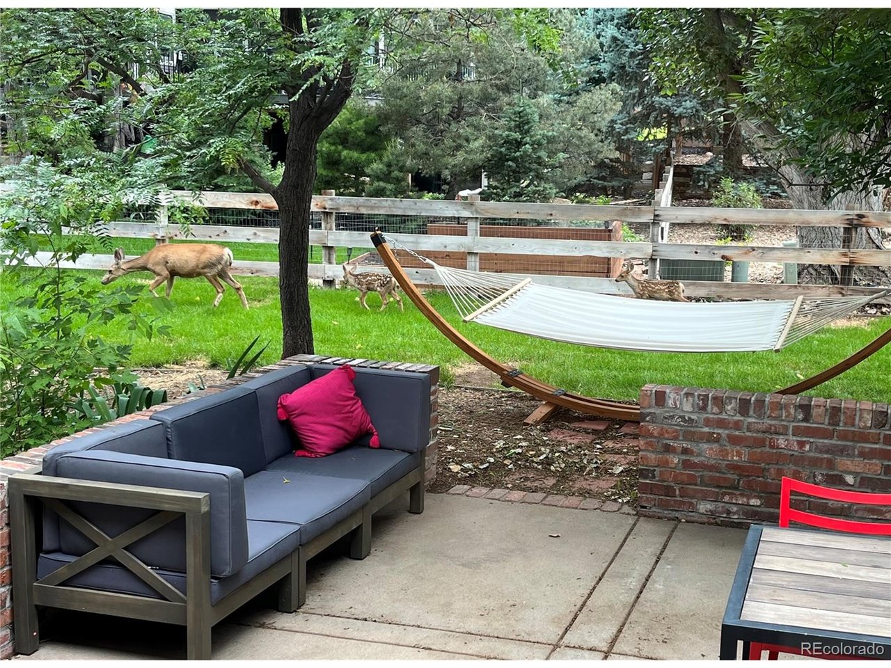 37 Elk Ln