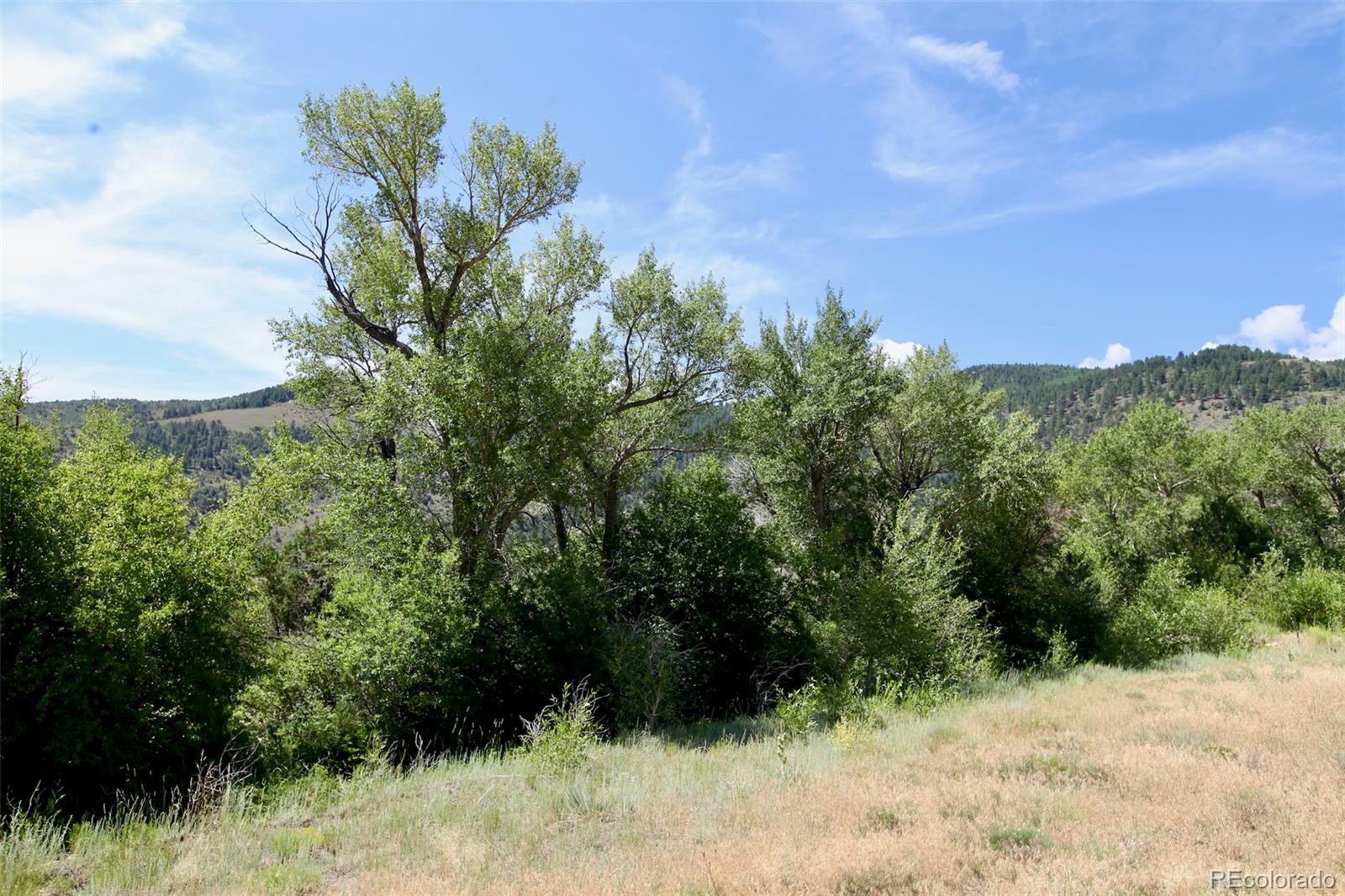 16508 Rocky Mountain Road