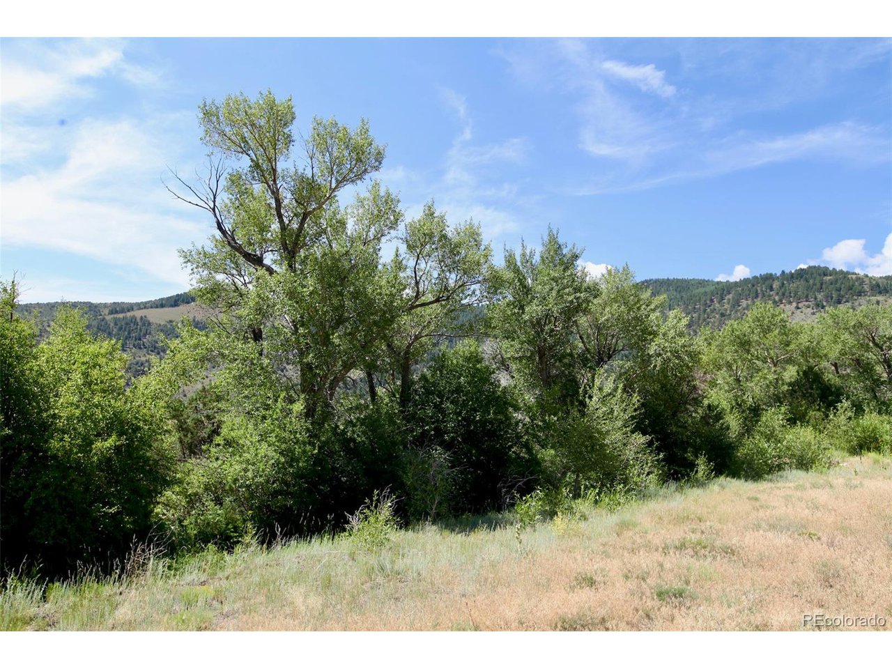 16508 Rocky Mountain Rd