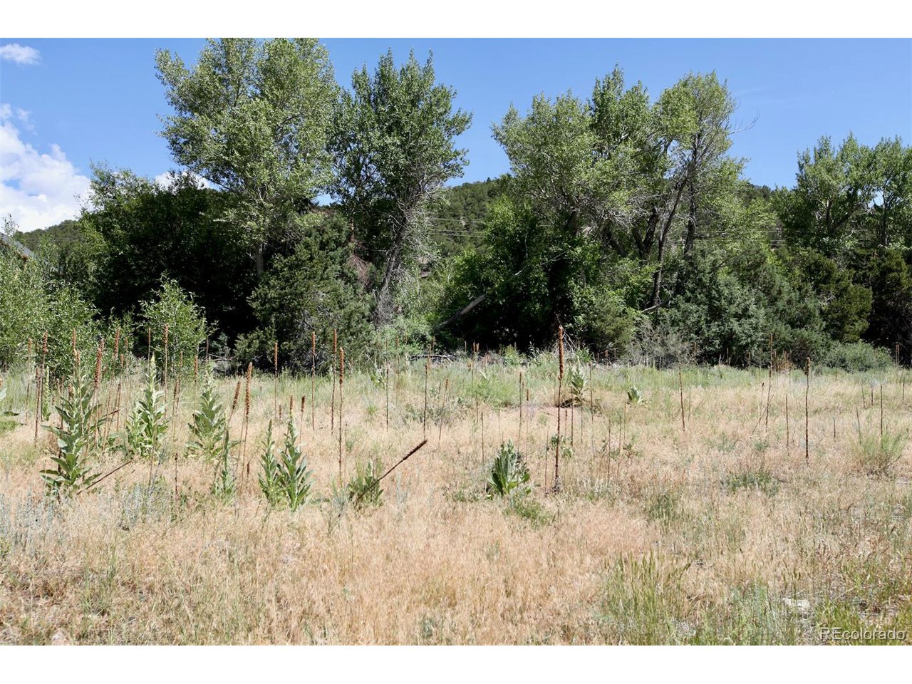 16508 Rocky Mountain Rd