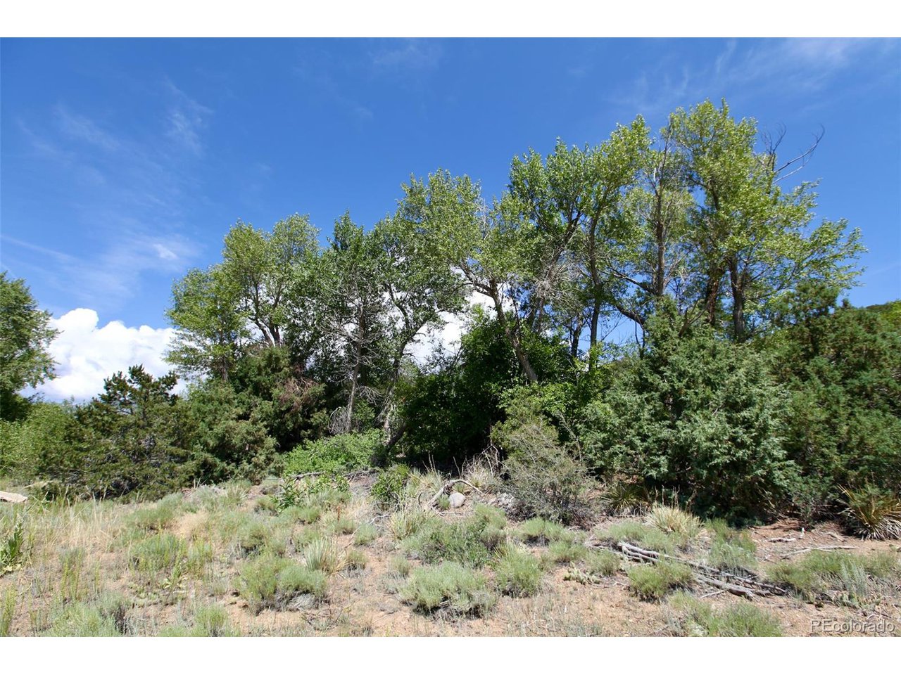 16508 Rocky Mountain Rd