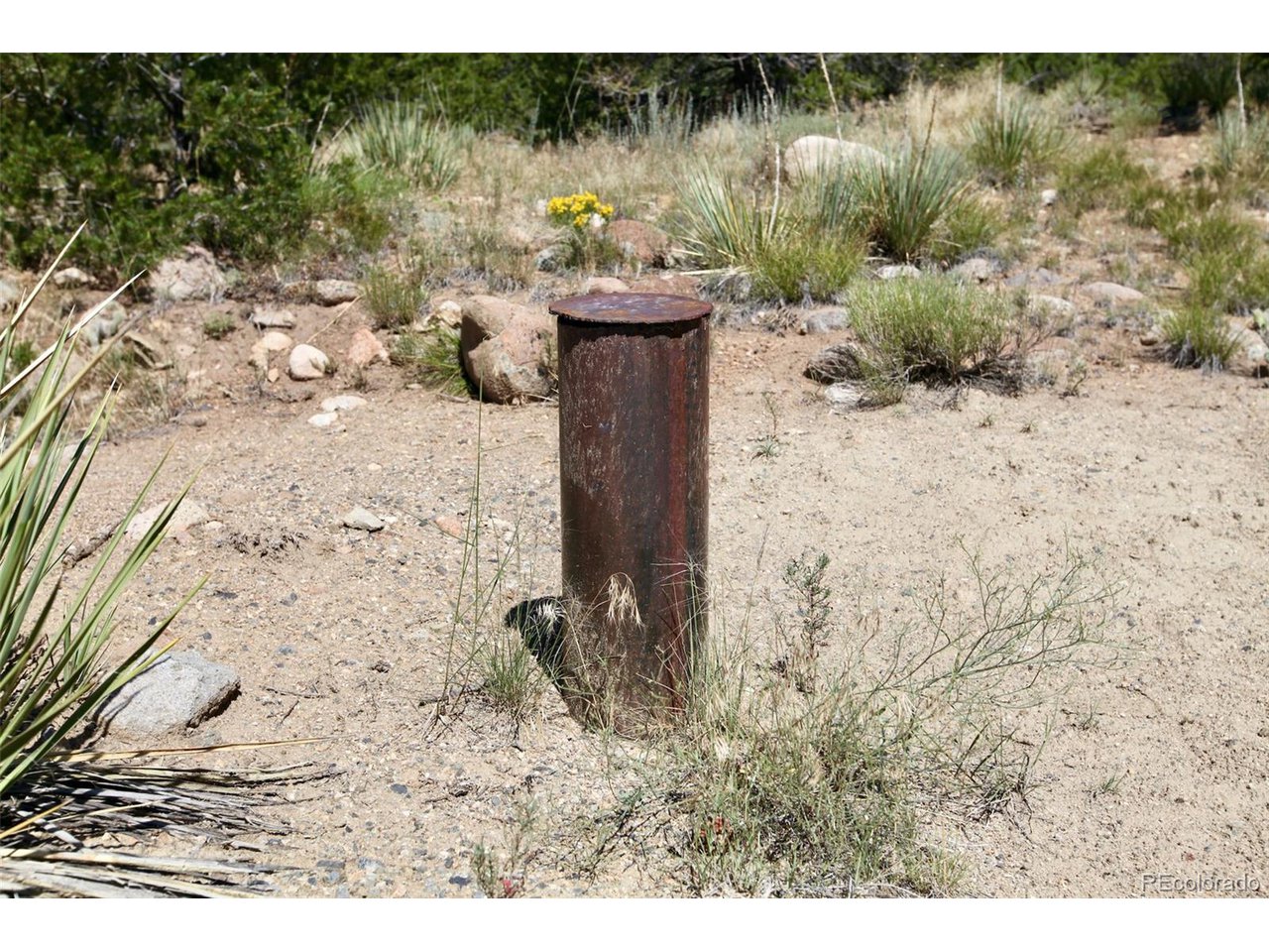 16508 Rocky Mountain Rd