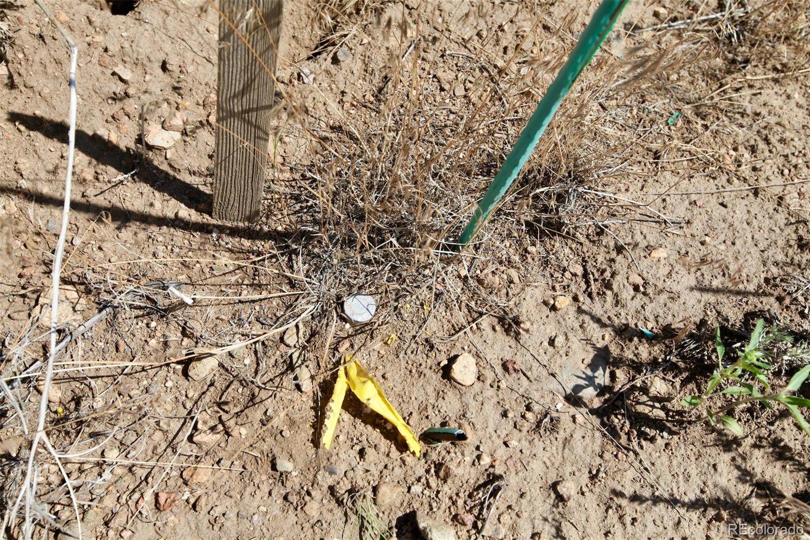 16508 Rocky Mountain Road