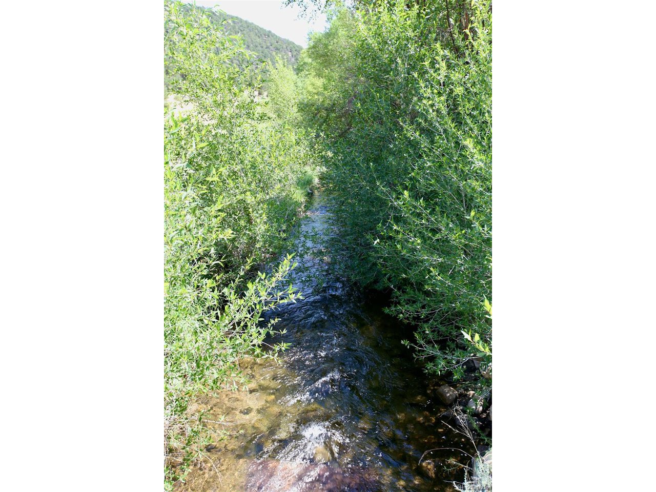 16508 Rocky Mountain Rd