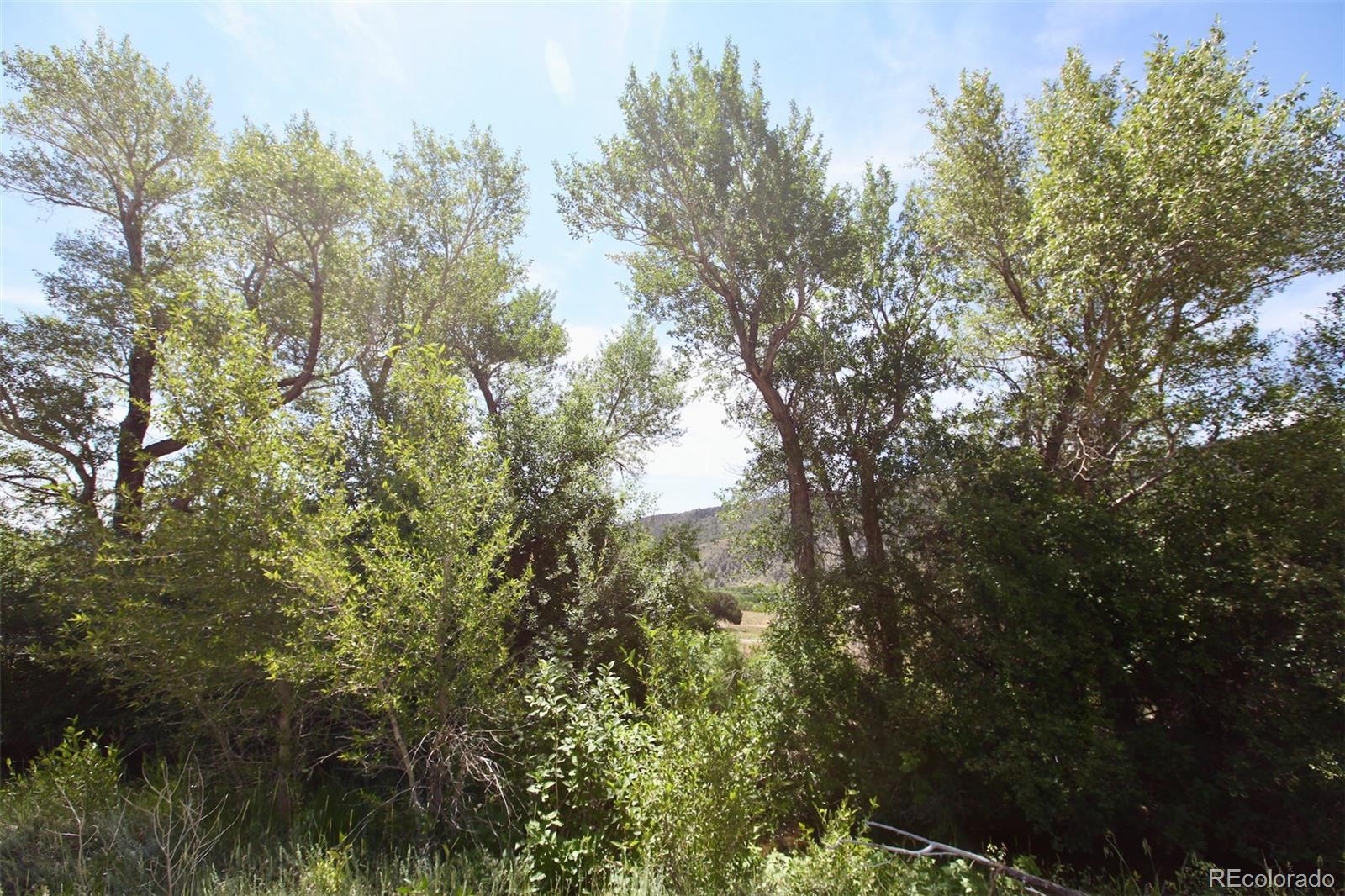 16508 Rocky Mountain Road