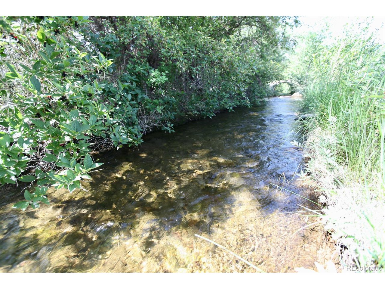 16508 Rocky Mountain Rd