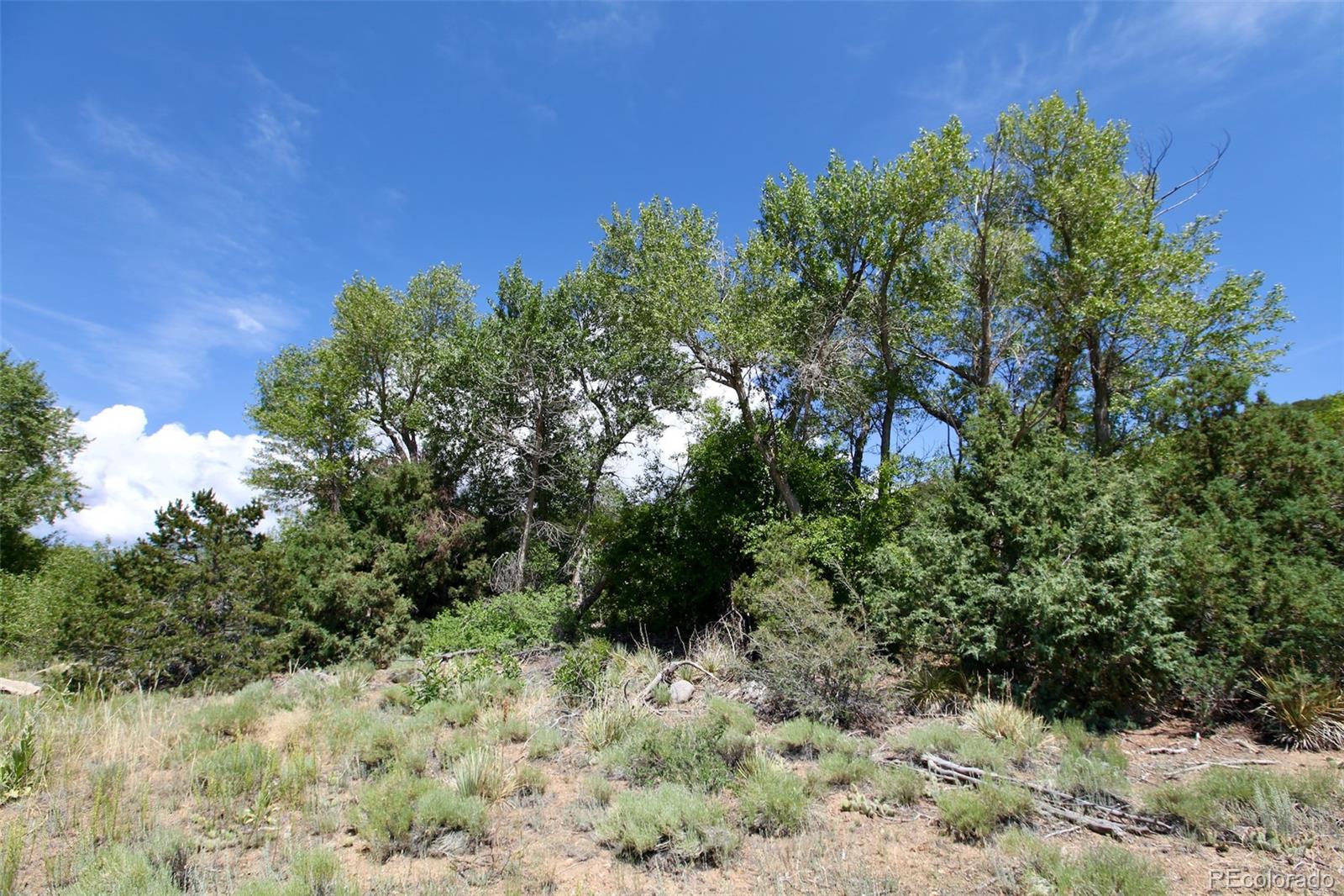 16508 Rocky Mountain Road
