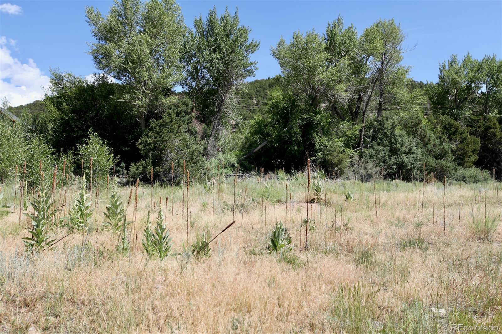 16508 Rocky Mountain Road