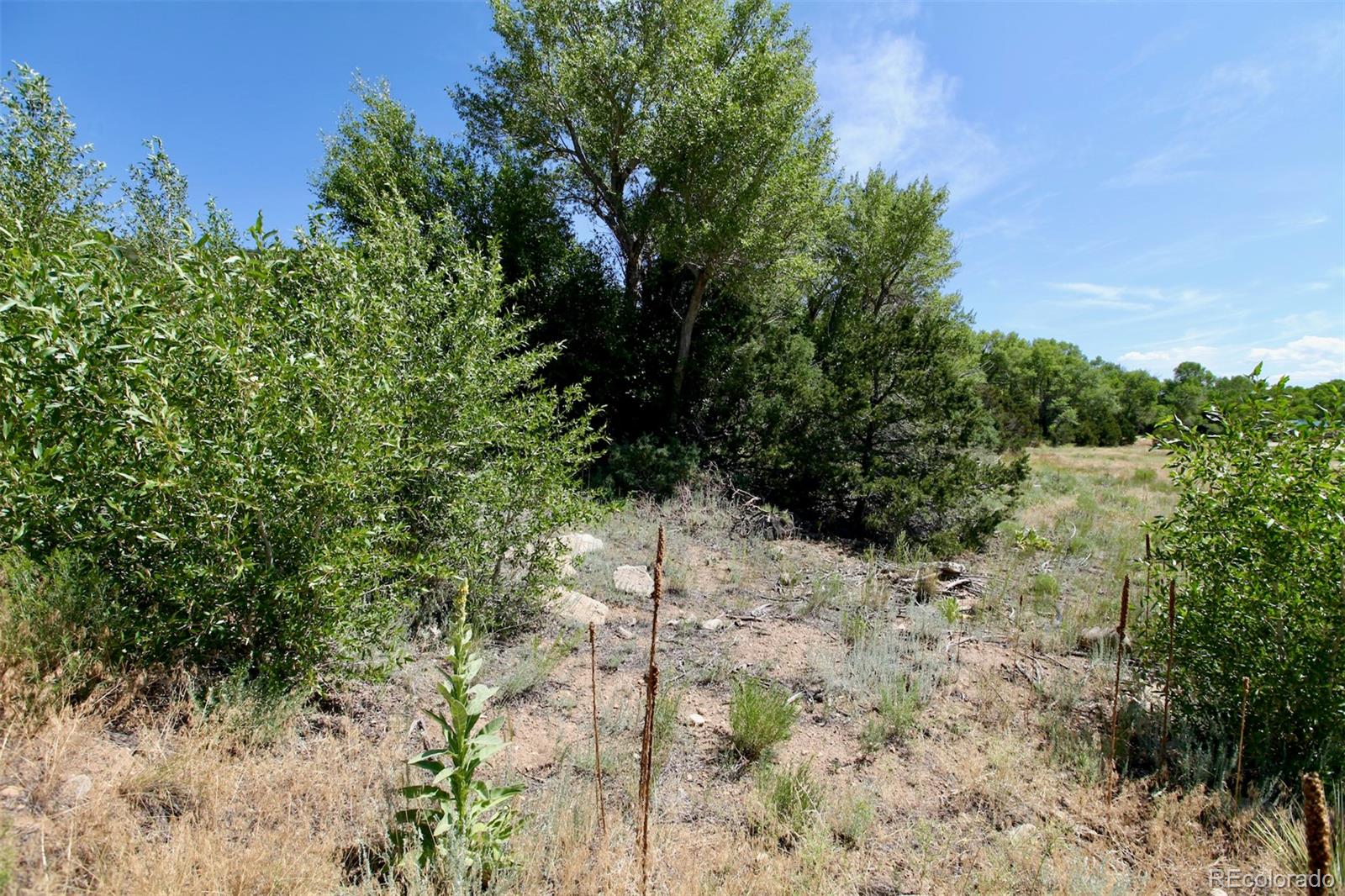 16508 Rocky Mountain Road