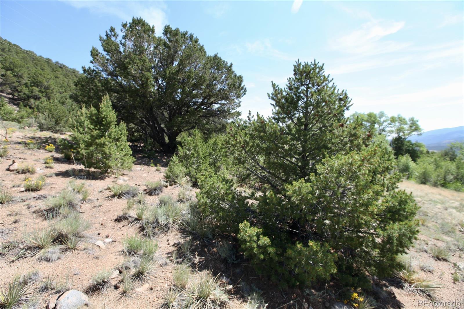 16508 Rocky Mountain Road