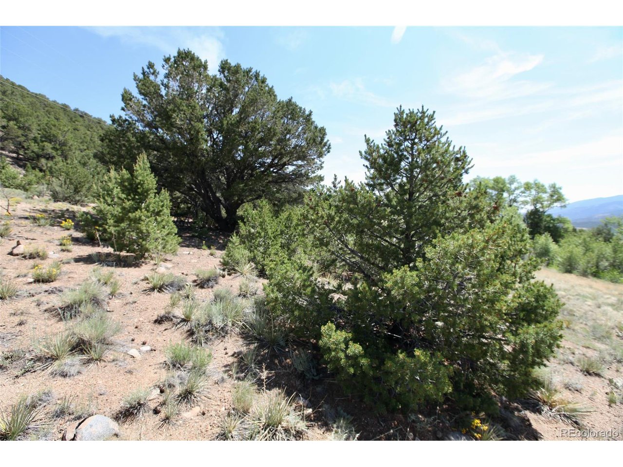 16508 Rocky Mountain Rd