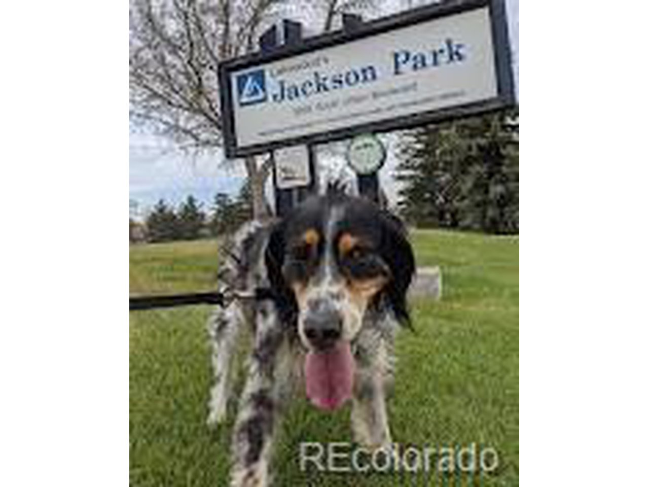 12060 W Dakota Dr