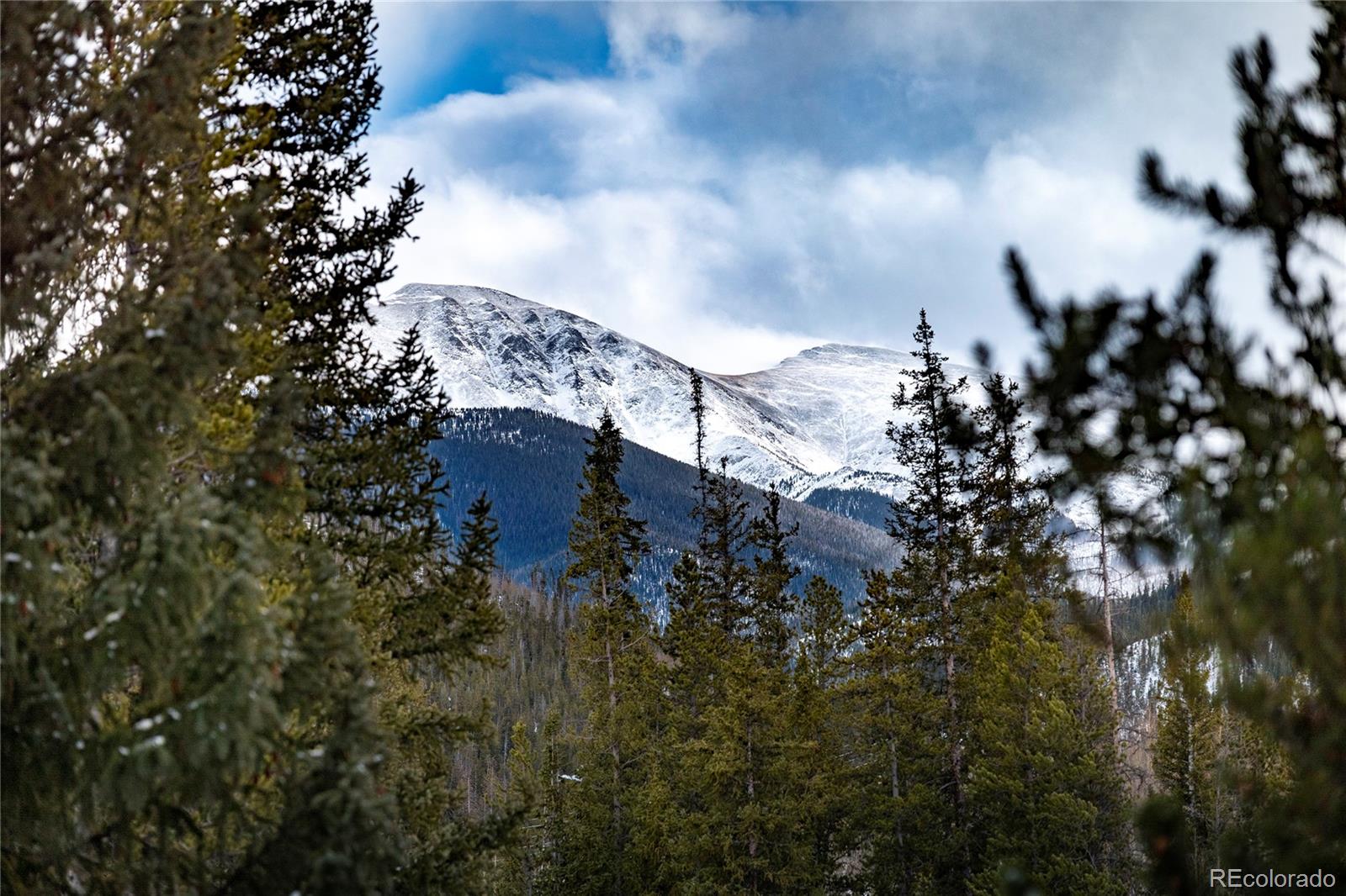 220 Village Drive Unit: 203