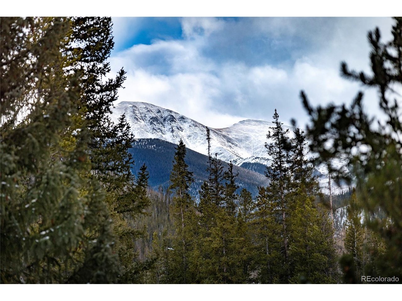 220 Village Dr 20-203