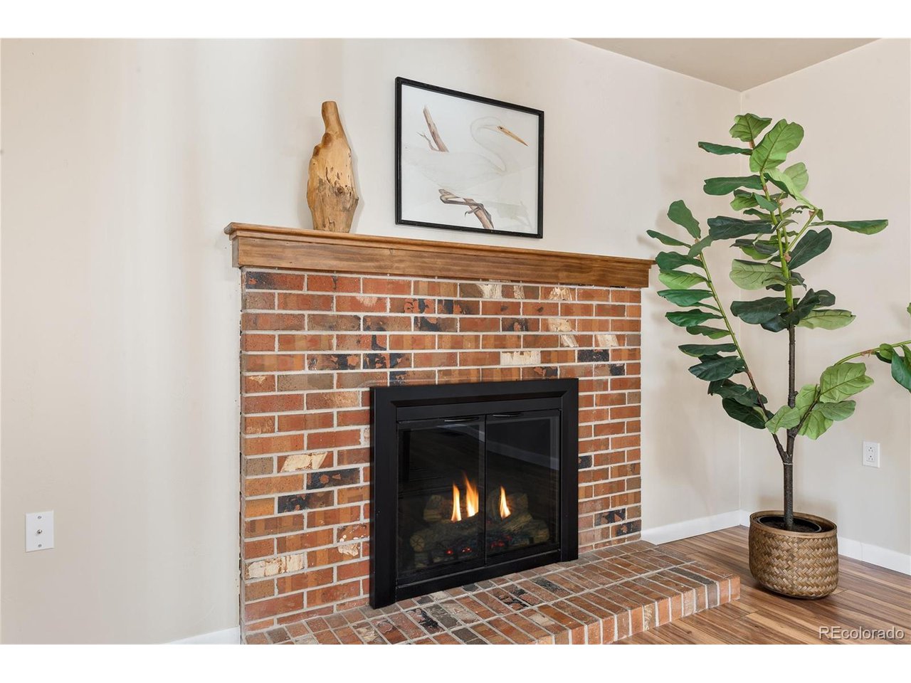 7038 Xenon Ct