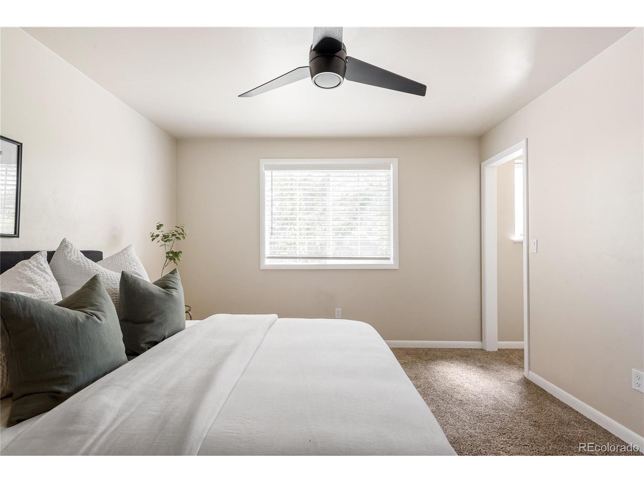7038 Xenon Ct