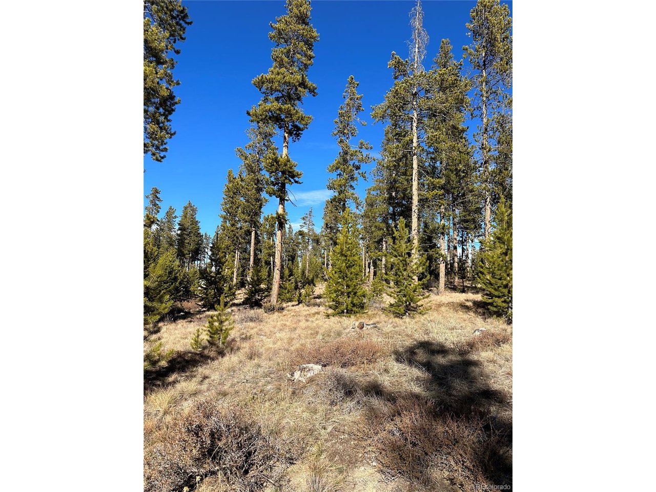 2269 Golf Course Cir / GCR 511