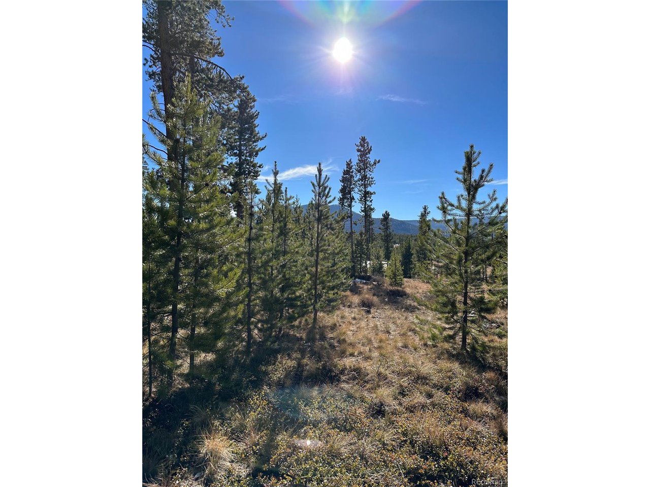 2269 Golf Course Cir / GCR 511