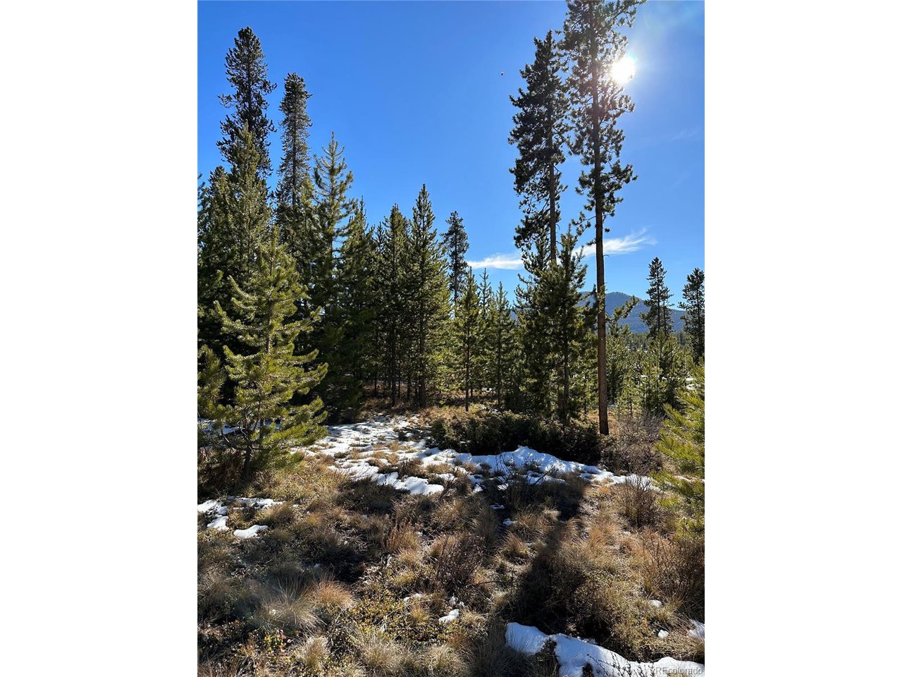 2269 Golf Course Cir / GCR 511