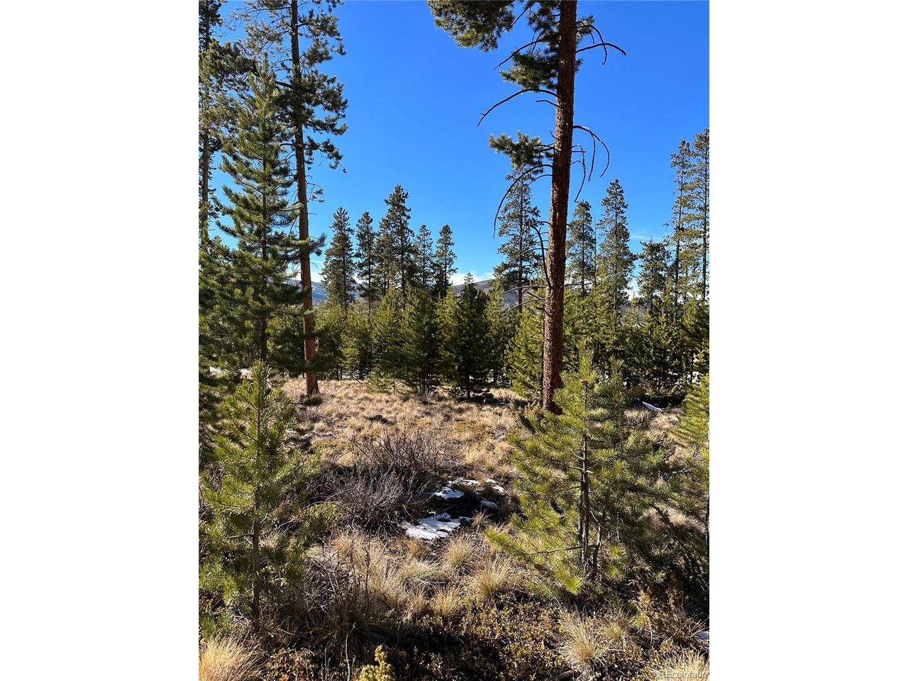 2269 Golf Course Cir / GCR 511