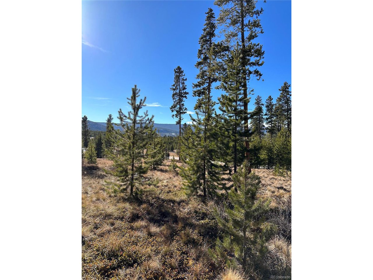 2269 Golf Course Cir / GCR 511