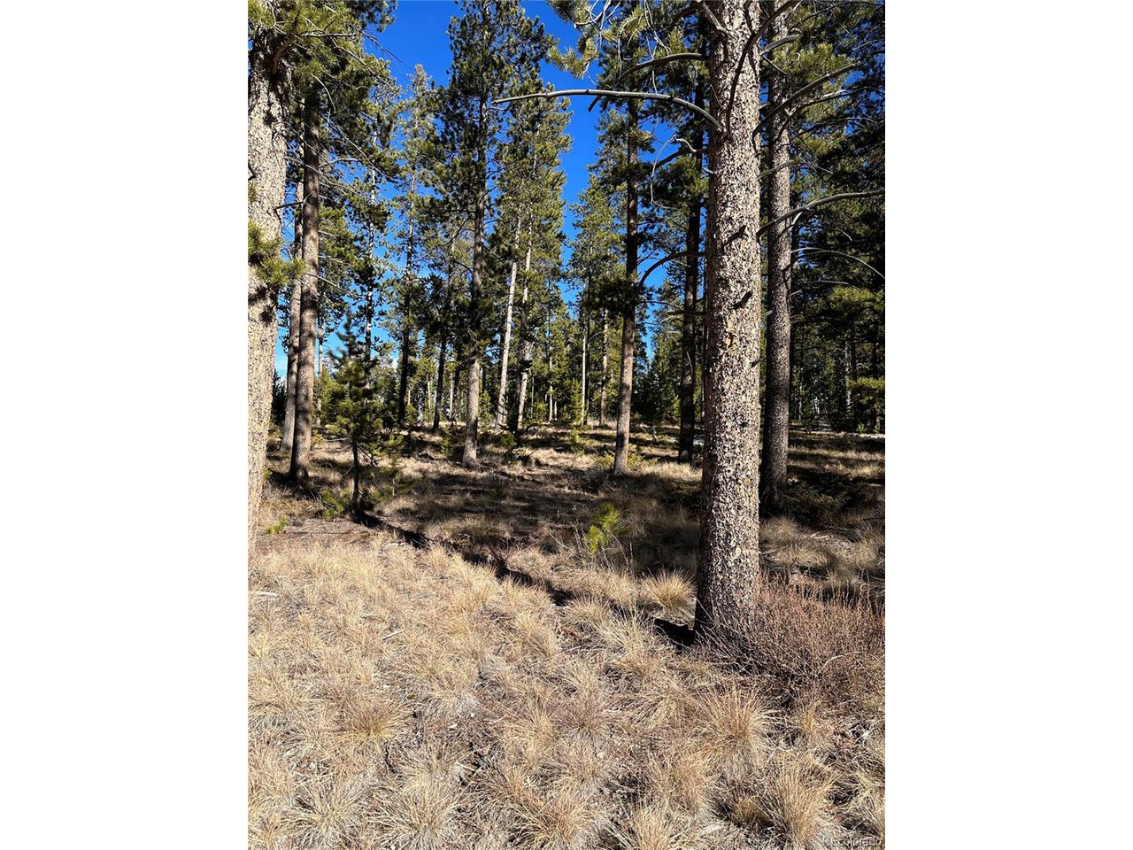 2269 Golf Course Cir / GCR 511