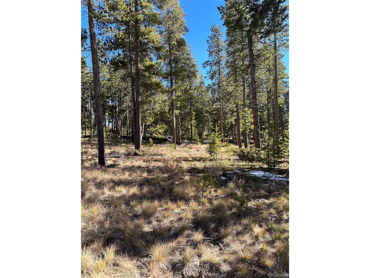 2269 Golf Course Cir / GCR 511