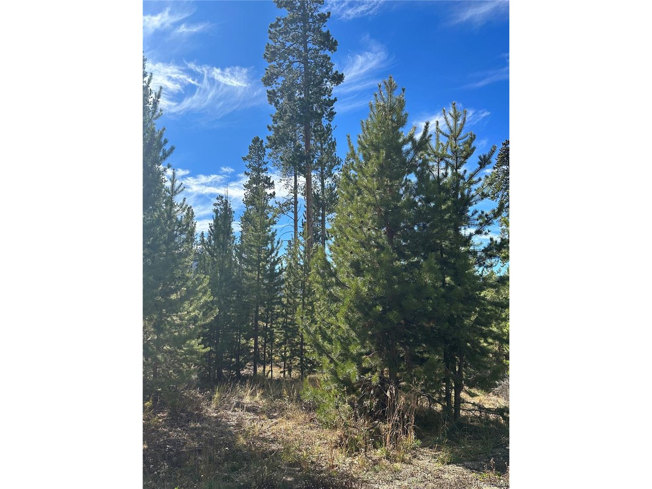 2269 Golf Course Cir / GCR 511