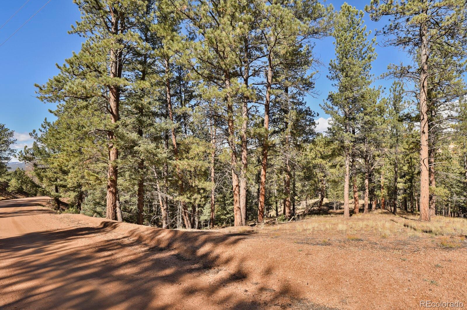 504 Bear Mountain Road