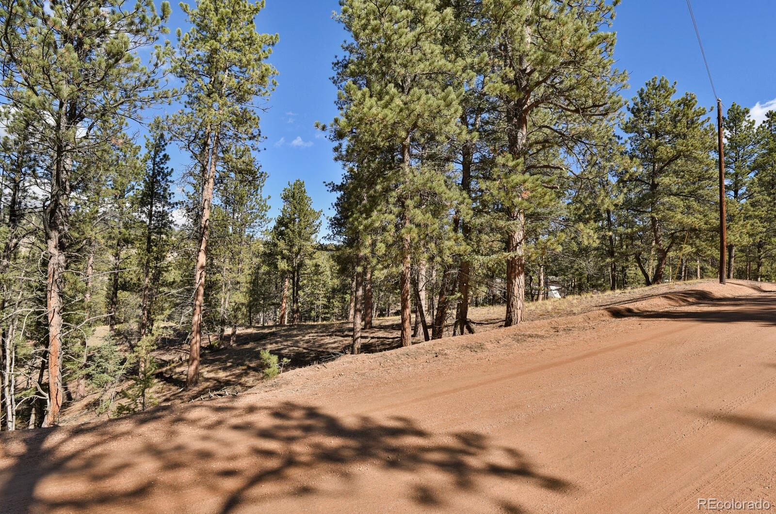 504 Bear Mountain Road