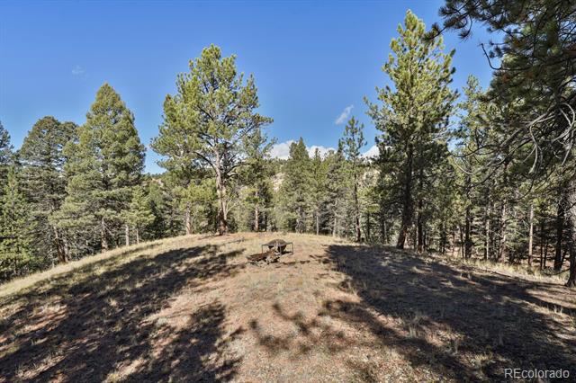 504 Bear Mountain Road