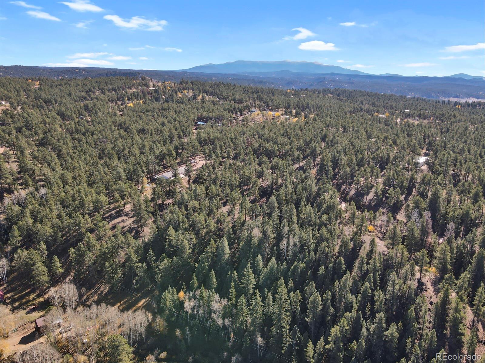 504 Bear Mountain Road