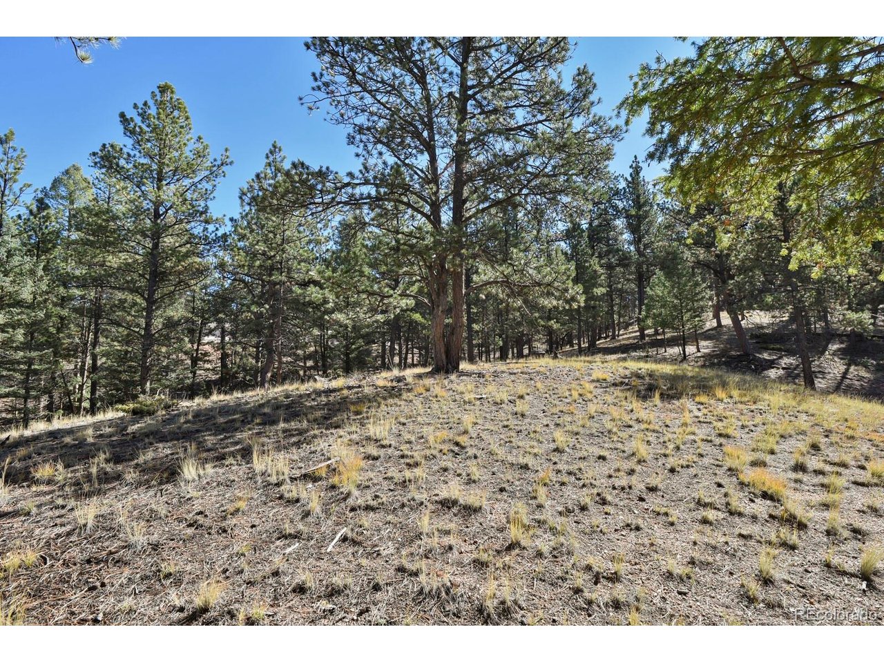 504 Bear Mountain Rd