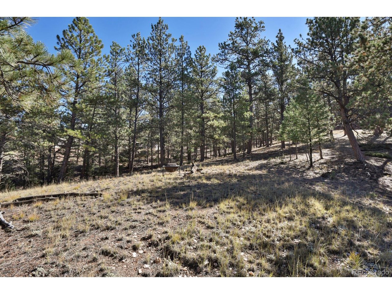 504 Bear Mountain Rd