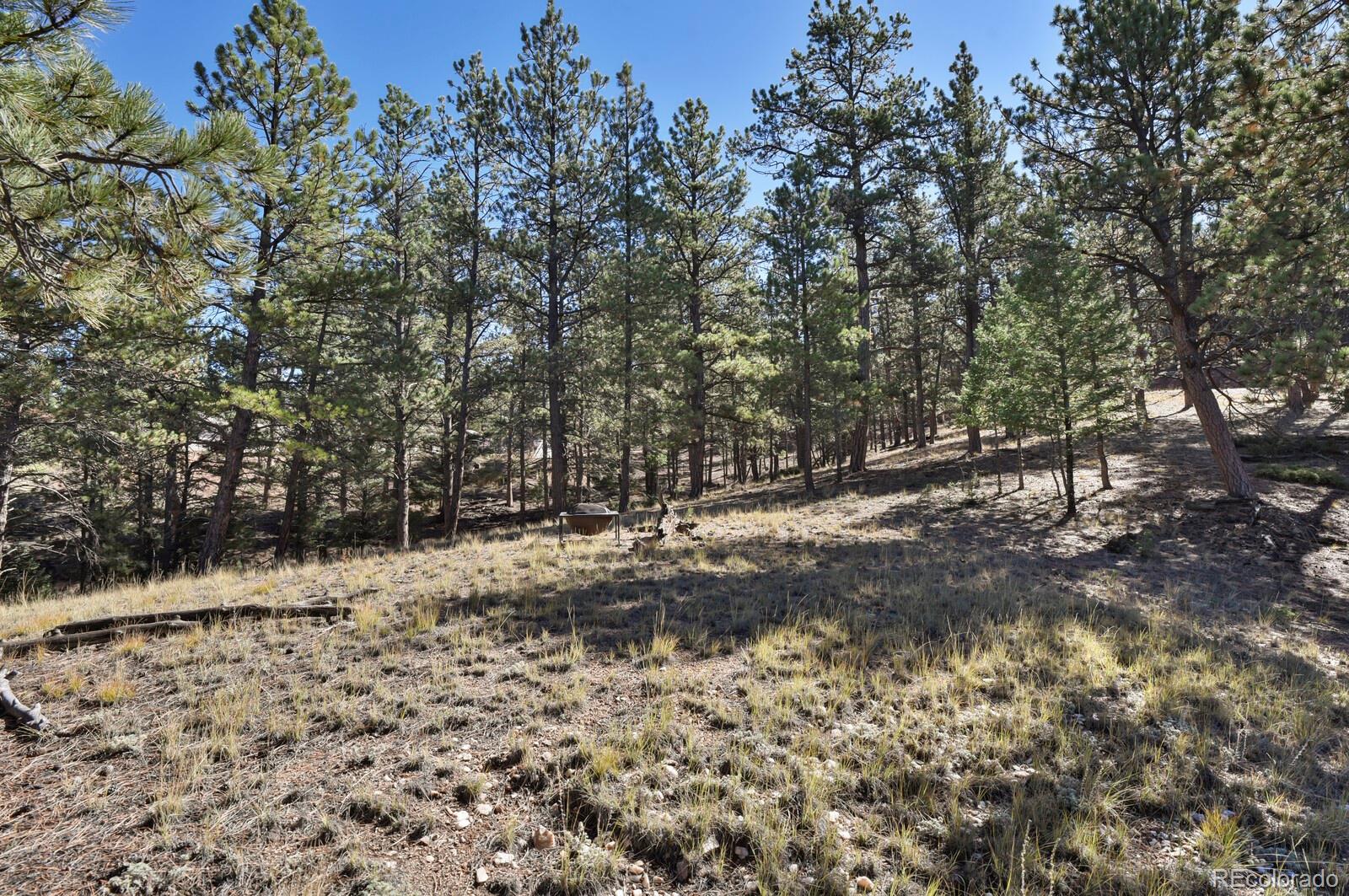 504 Bear Mountain Road