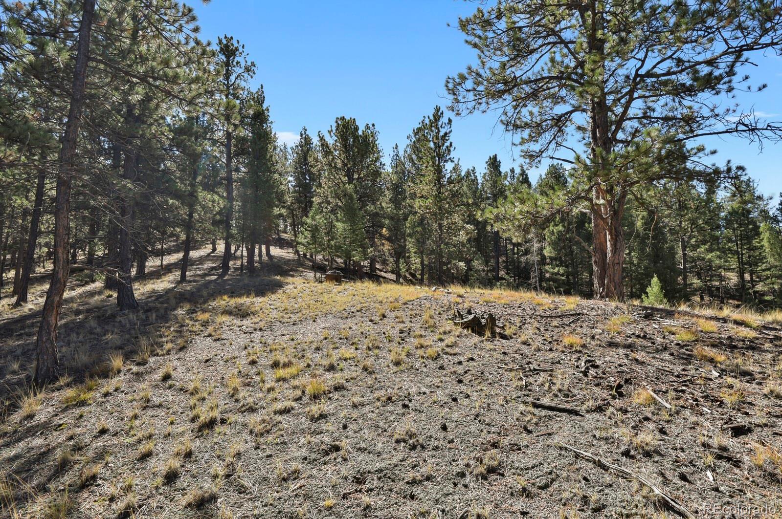 504 Bear Mountain Road