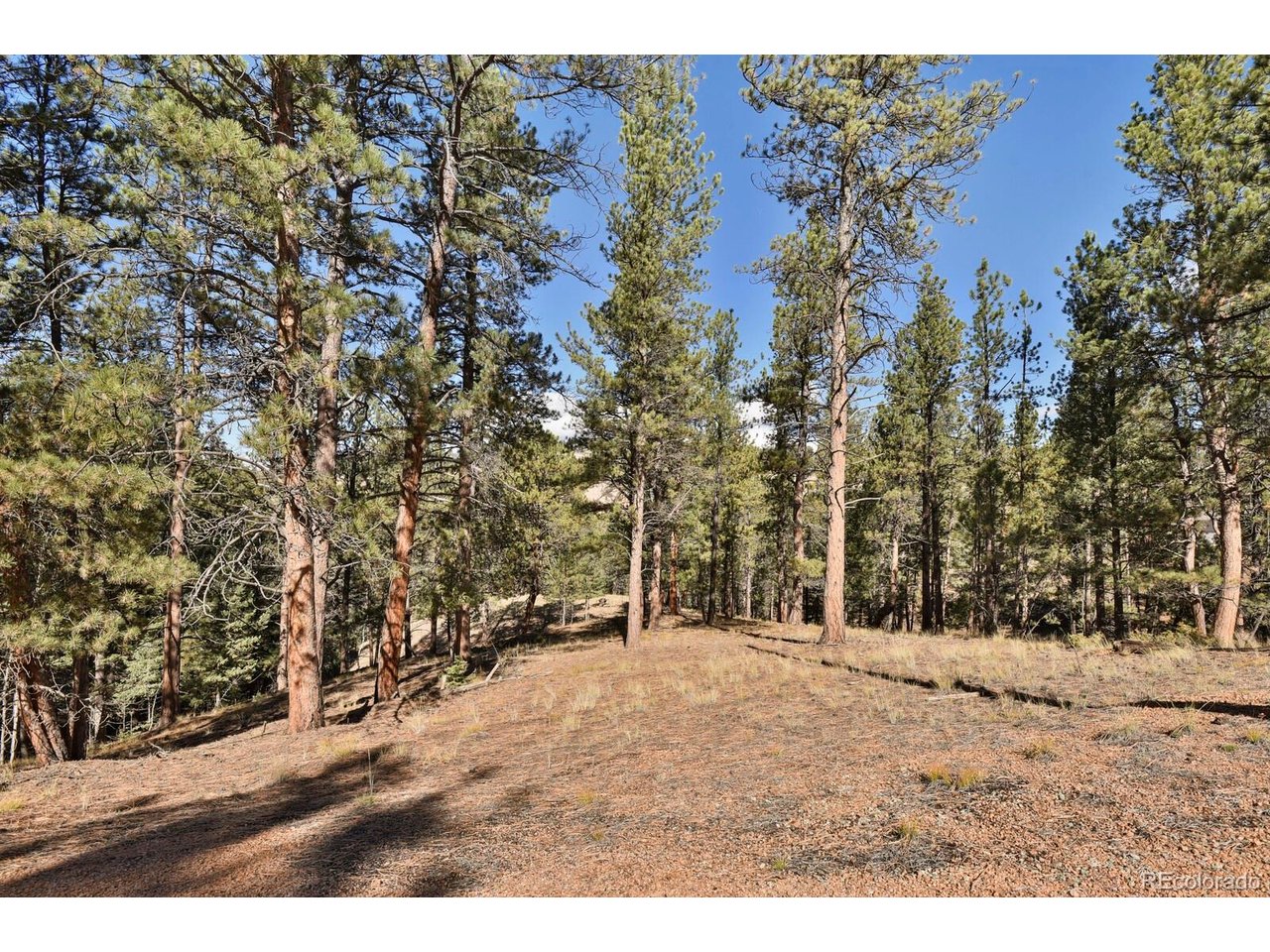 504 Bear Mountain Rd